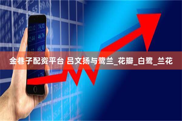 金巷子配资平台 吕文扬与鹭兰_花瓣_白鹭_兰花