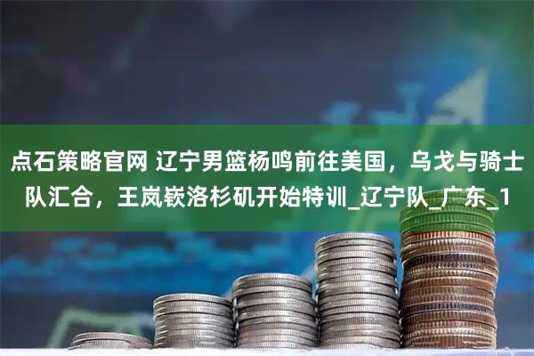 点石策略官网 辽宁男篮杨鸣前往美国，乌戈与骑士队汇合，王岚嵚洛杉矶开始特训_辽宁队_广东_1