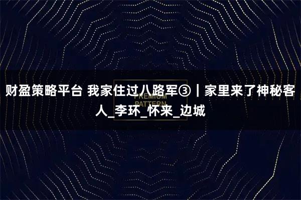 财盈策略平台 我家住过八路军③｜家里来了神秘客人_李环_怀来_边城