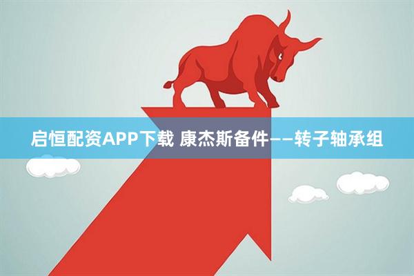 启恒配资APP下载 康杰斯备件——转子轴承组