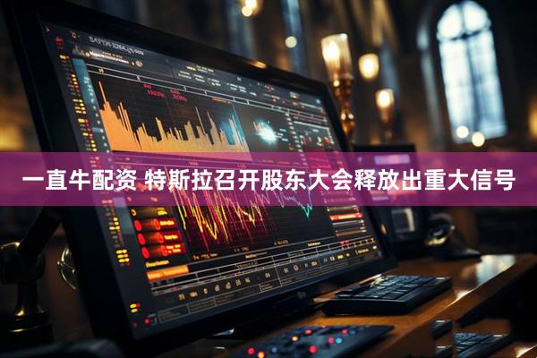 一直牛配资 特斯拉召开股东大会释放出重大信号