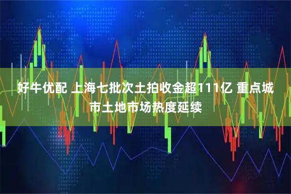 好牛优配 上海七批次土拍收金超111亿 重点城市土地市场热度延续