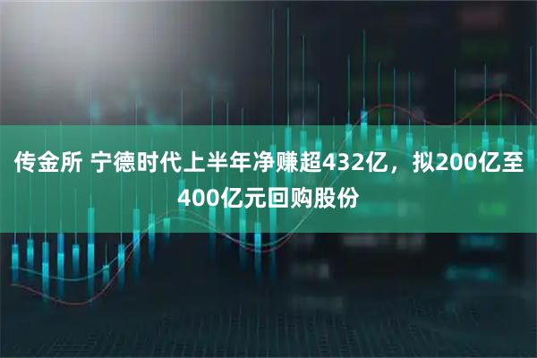 传金所 宁德时代上半年净赚超432亿，拟200亿至400亿元回购股份